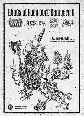 Flyer Winds Of Fury Over Bamberg II