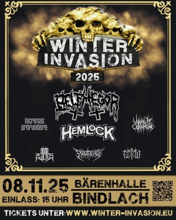 Flyer Winter Invasion Festival 2025