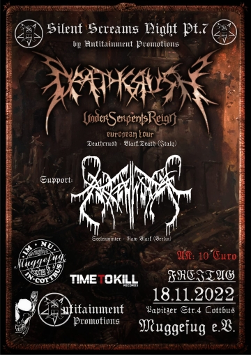 Flyer Silent Screams Night Pt.7