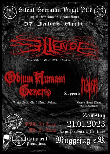 Flyer Silent Screams Night Pt.8