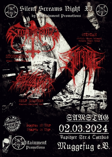 Flyer Silent Screams Night Pt.11