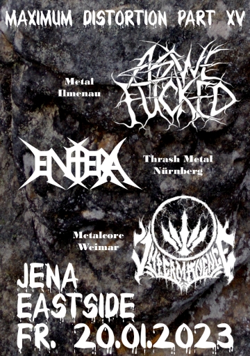 Flyer Maximum Distortion Part XV