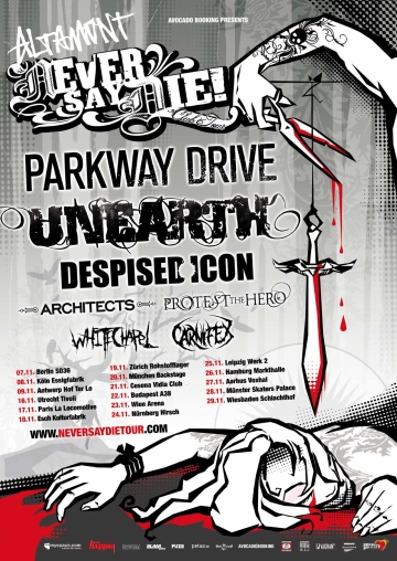 Flyer Never Say Die! 2008