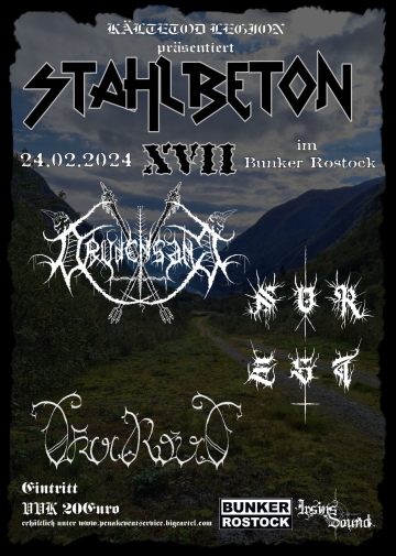 Flyer Stahlbeton XVII