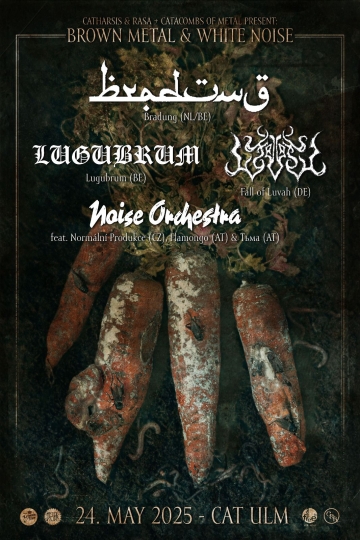 Flyer Brown Metal & White Noise