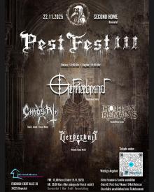 Flyer Pest Fest III