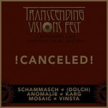 Flyer Transcending Visions Fest 2020