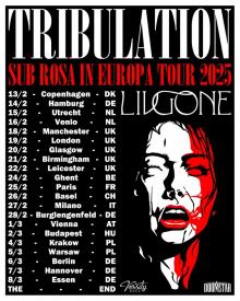 Flyer Tribulation w/ Livgone