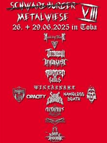 Flyer Metalwiese VIII