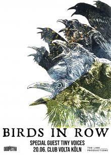 Flyer Birds in Row w/ Tiny Voices