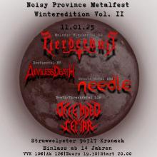 Flyer Noisy Province Metalfest