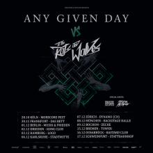 Flyer Any Given Day / To The Rats And Wolves