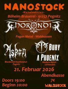 Flyer Nanostock - Metaledition