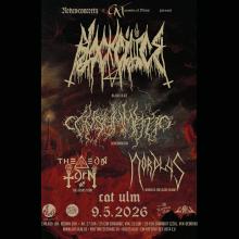 Flyer CATacombs Of Metal XXXVIII