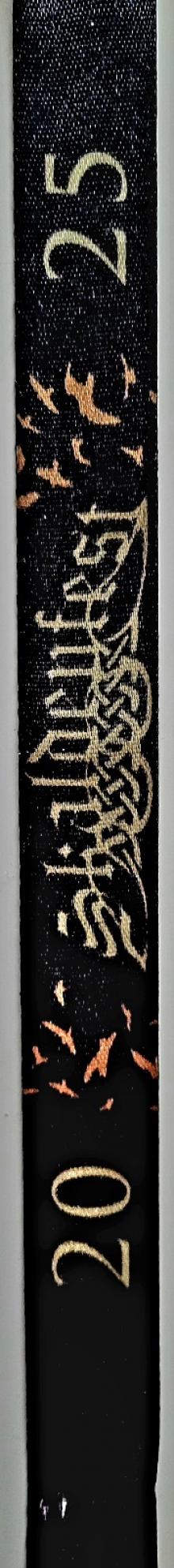 Ticket Skaldenfest 2025